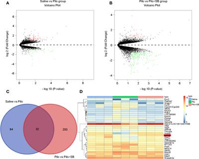 The Antagonism of 5-HT6 Receptor Attenuates Current-Induced Spikes and Improves Long-Term Potentiation via the Regulation of M-Currents in a Pilocarpine-Induced Epilepsy Model